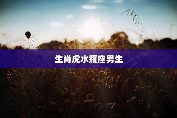 生肖虎水瓶座男生