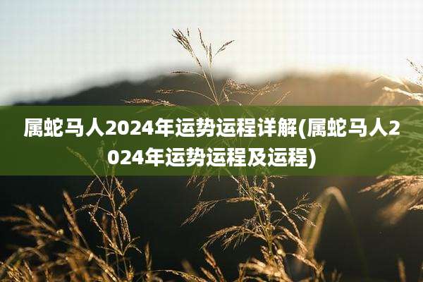 属蛇马人2024年运势运程详解(属蛇马人2024年运势运程及运程)