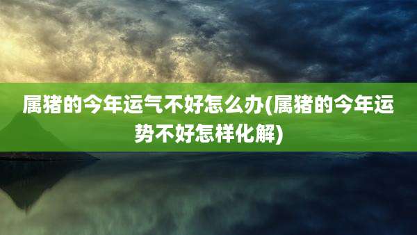 属猪的今年运气不好怎么办(属猪的今年运势不好怎样化解)