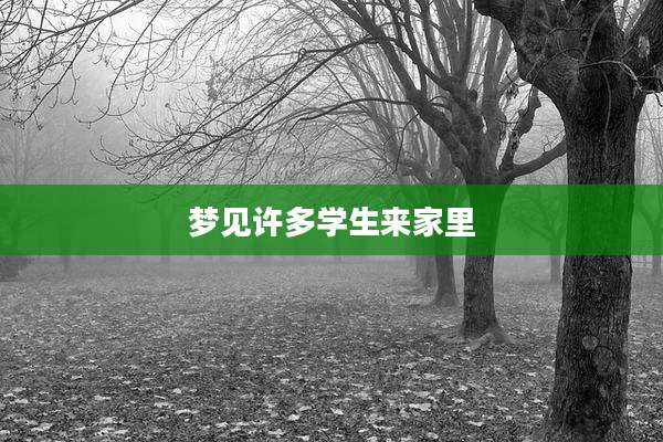 梦见许多学生来家里