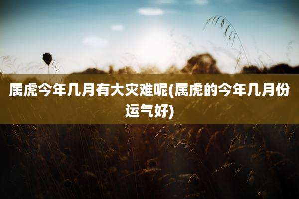 属虎今年几月有大灾难呢(属虎的今年几月份运气好)