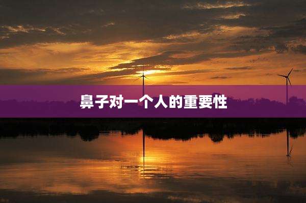 鼻子对一个人的重要性