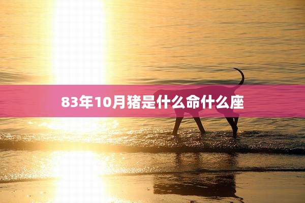 83年10月猪是什么命什么座