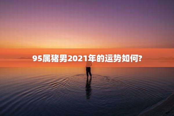 95属猪男2021年的运势如何?