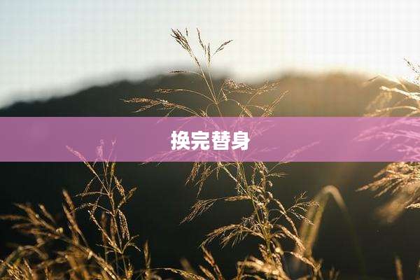 换完替身
