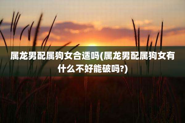 属龙男配属狗女合适吗(属龙男配属狗女有什么不好能破吗?)