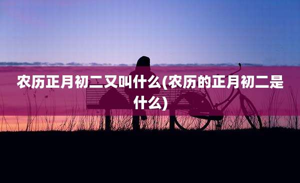 农历正月初二又叫什么(农历的正月初二是什么)