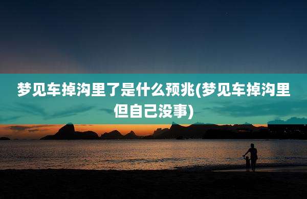 梦见车掉沟里了是什么预兆(梦见车掉沟里但自己没事)