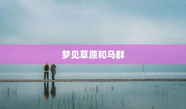 梦见草原和马群