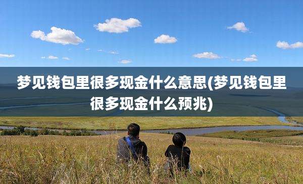 梦见钱包里很多现金什么意思(梦见钱包里很多现金什么预兆)