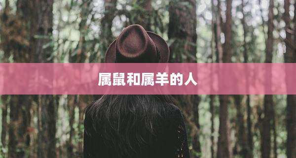 属鼠和属羊的人