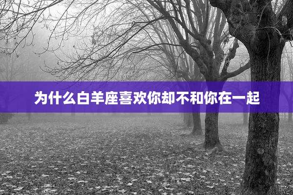 为什么白羊座喜欢你却不和你在一起