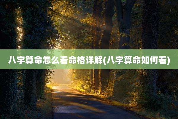 八字算命怎么看命格详解(八字算命如何看)