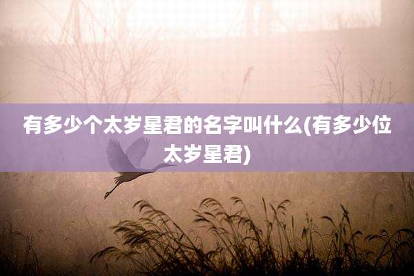 有多少个太岁星君的名字叫什么(有多少位太岁星君)