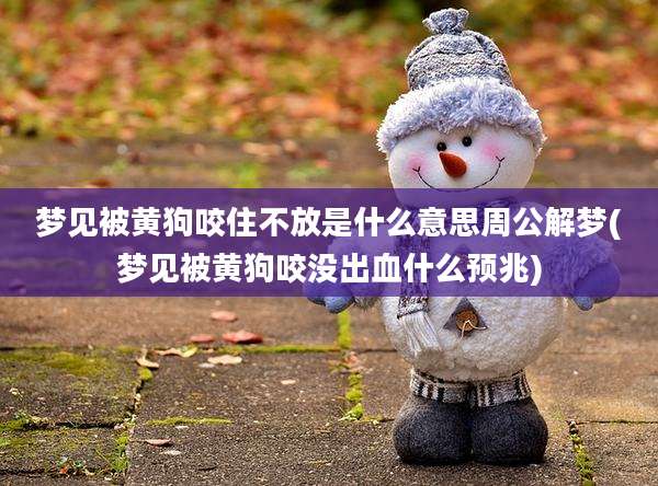 梦见被黄狗咬住不放是什么意思周公解梦(梦见被黄狗咬没出血什么预兆)