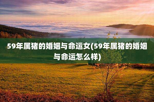59年属猪的婚姻与命运女(59年属猪的婚姻与命运怎么样)