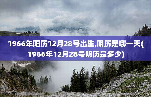 1966年阳历12月28号出生,阴历是哪一天(1966年12月28号阴历是多少)