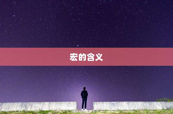 宏的含义