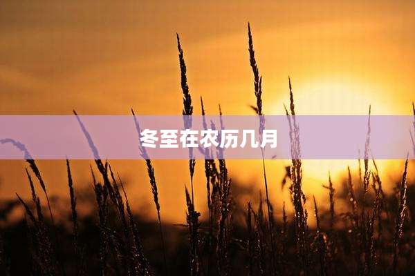 冬至在农历几月