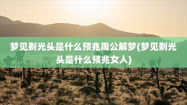 梦见剃光头是什么预兆周公解梦(梦见剃光头是什么预兆女人)