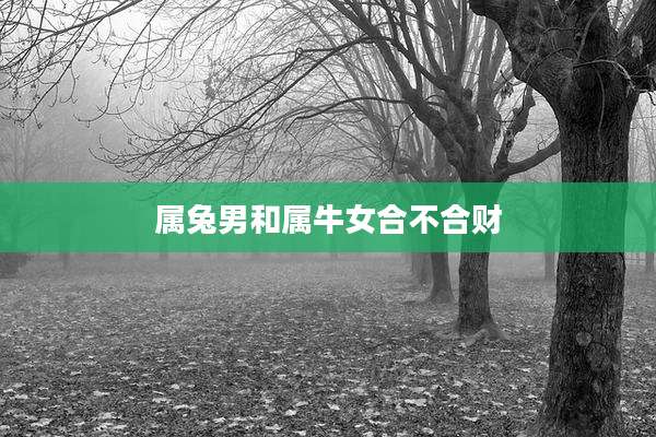 属兔男和属牛女合不合财
