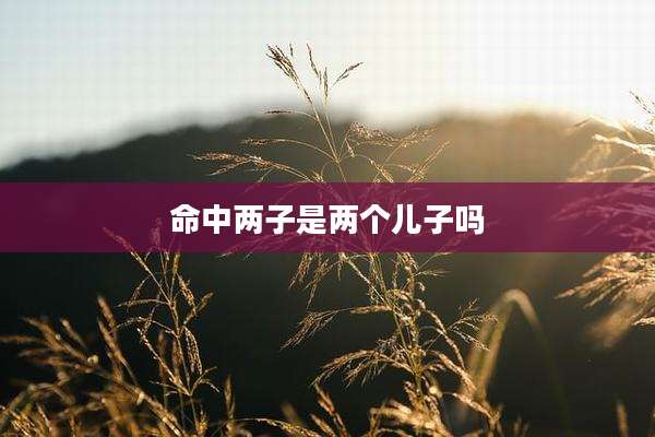 命中两子是两个儿子吗