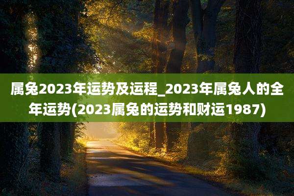属兔2023年运势及运程_2023年属兔人的全年运势(2023属兔的运势和财运1987)
