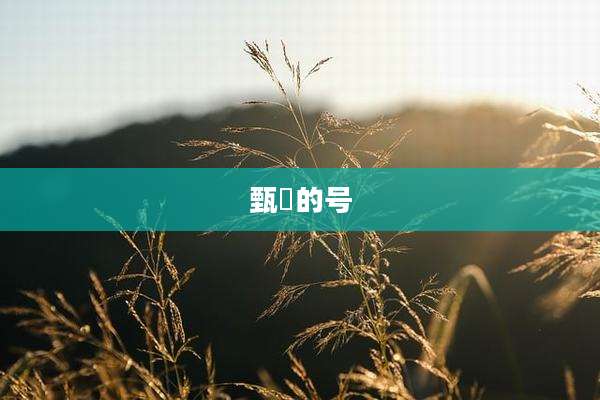 甄嬛的号