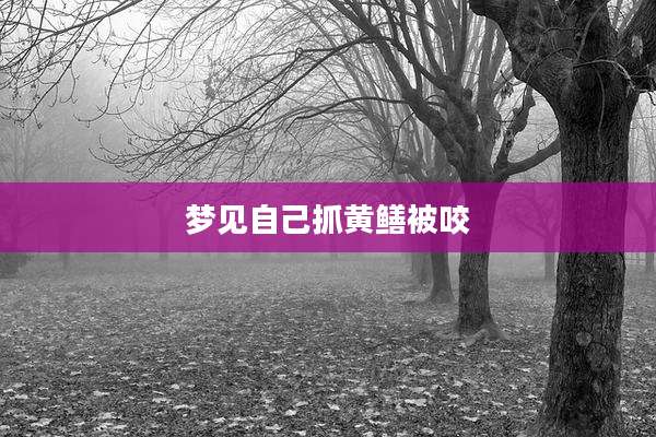 梦见自己抓黄鳝被咬
