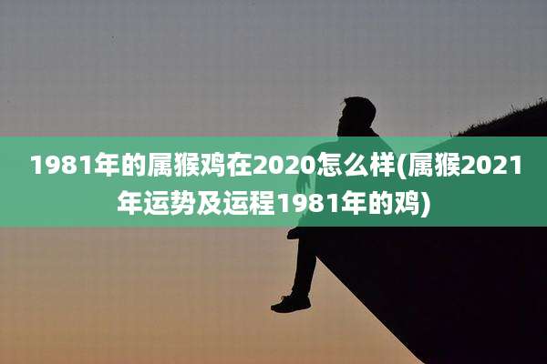 1981年的属猴鸡在2020怎么样(属猴2021年运势及运程1981年的鸡)