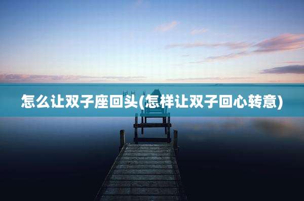 怎么让双子座回头(怎样让双子回心转意)