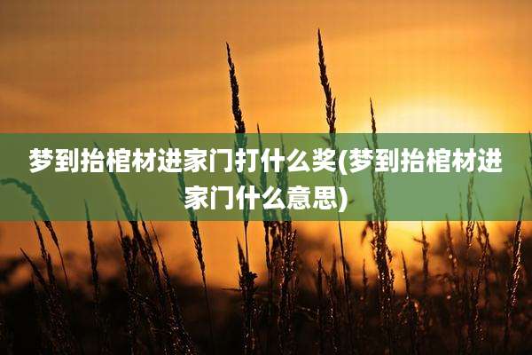 梦到抬棺材进家门打什么奖(梦到抬棺材进家门什么意思)