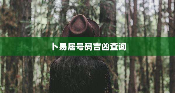 卜易居号码吉凶查询