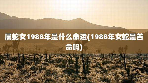 属蛇女1988年是什么命运(1988年女蛇是苦命吗)