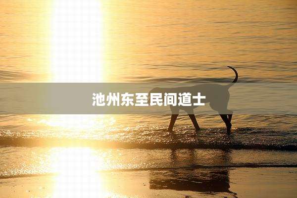 池州东至民间道士