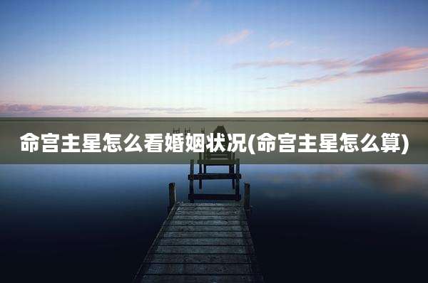 命宫主星怎么看婚姻状况(命宫主星怎么算)