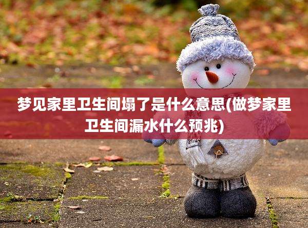 梦见家里卫生间塌了是什么意思(做梦家里卫生间漏水什么预兆)