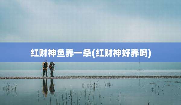 红财神鱼养一条(红财神好养吗)