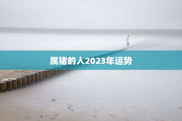 属猪的人2023年运势