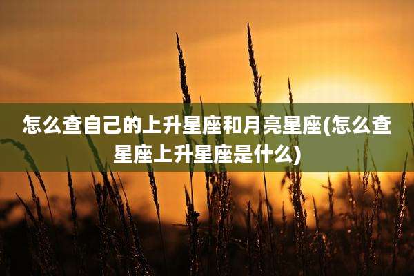 怎么查自己的上升星座和月亮星座(怎么查星座上升星座是什么)