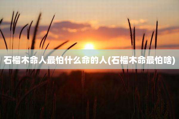石榴木命人最怕什么命的人(石榴木命最怕啥)