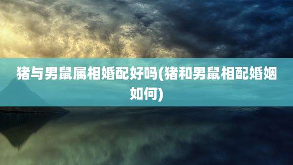 猪与男鼠属相婚配好吗(猪和男鼠相配婚姻如何)