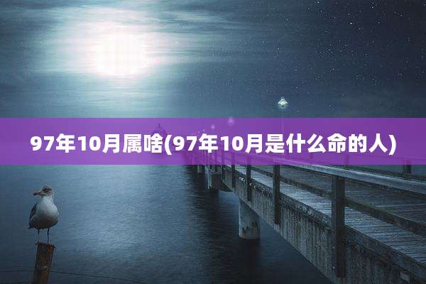 97年10月属啥(97年10月是什么命的人)