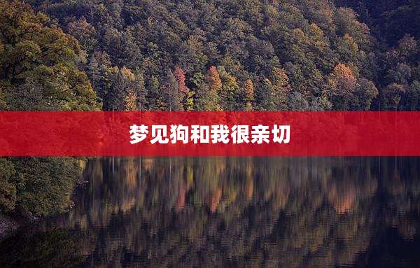 梦见狗和我很亲切