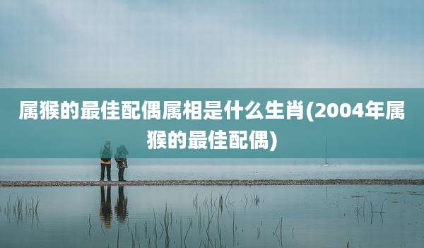 属猴的最佳配偶属相是什么生肖(2004年属猴的最佳配偶)