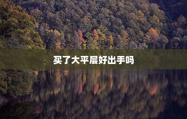 买了大平层好出手吗