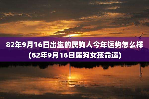 82年9月16日出生的属狗人今年运势怎么样(82年9月16日属狗女孩命运)