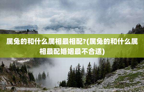 属兔的和什么属相最相配?(属兔的和什么属相最配婚姻最不合适)