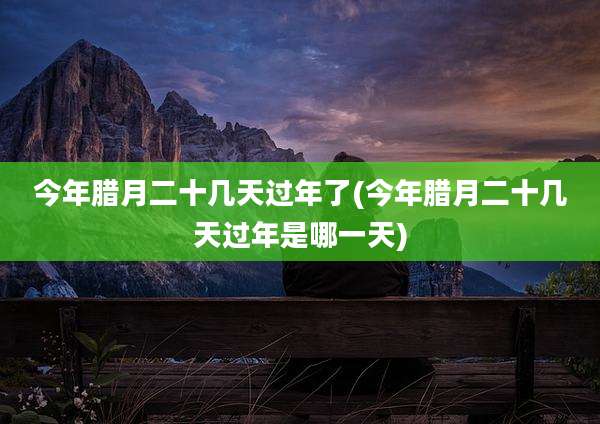 今年腊月二十几天过年了(今年腊月二十几天过年是哪一天)