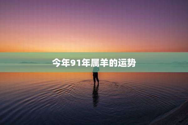 今年91年属羊的运势